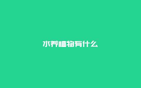 水养植物有什么