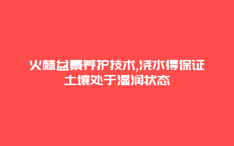 火棘盆景养护技术,浇水得保证土壤处于湿润状态