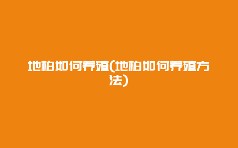 地柏如何养殖(地柏如何养殖方法)