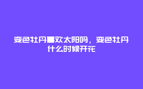 变色牡丹喜欢太阳吗，变色牡丹什么时候开花