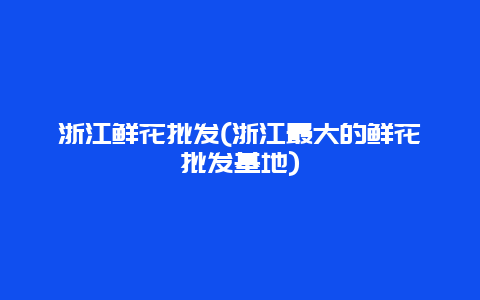 浙江鲜花批发(浙江最大的鲜花批发基地)