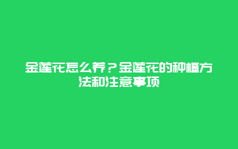 金莲花怎么养？金莲花的种植方法和注意事项