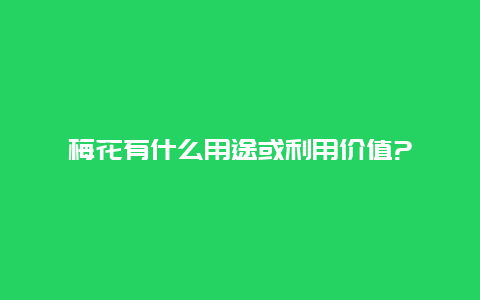 梅花有什么用途或利用价值?