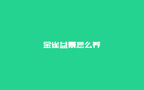 金雀盆景怎么养