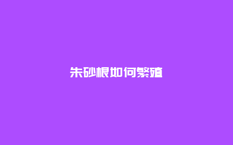 朱砂根如何繁殖