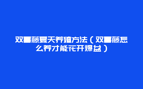 双喜藤夏天养殖方法（双喜藤怎么养才能花开爆盆）