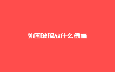 外围玻璃放什么绿植