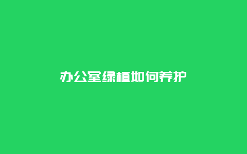 办公室绿植如何养护