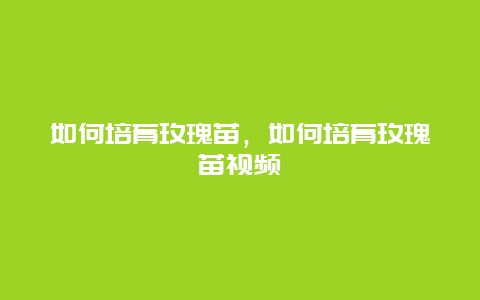 如何培育玫瑰苗，如何培育玫瑰苗视频