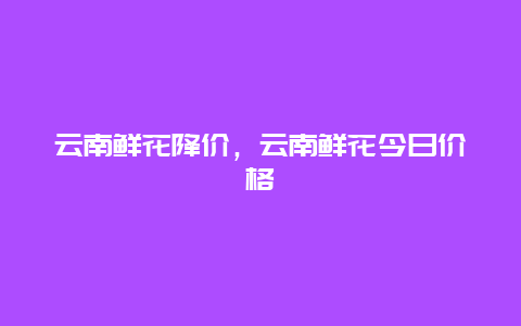 云南鲜花降价，云南鲜花今日价格