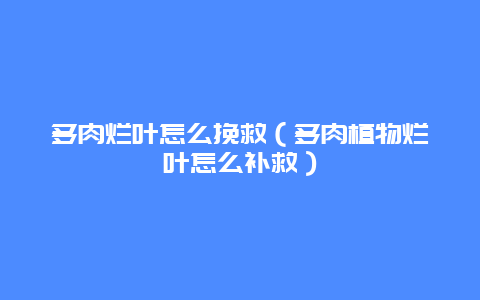 多肉烂叶怎么挽救（多肉植物烂叶怎么补救）