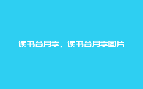 读书台月季，读书台月季图片