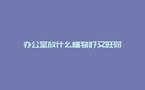 办公室放什么植物好又旺财