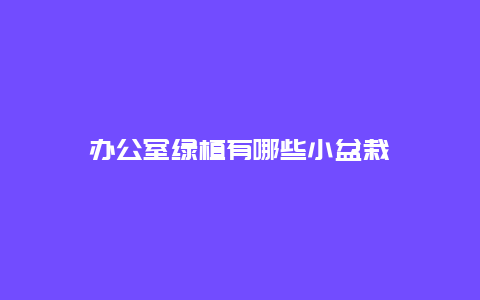 办公室绿植有哪些小盆栽