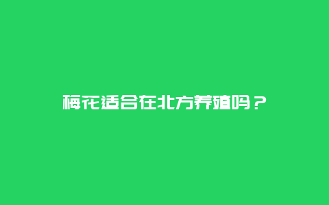 梅花适合在北方养殖吗？