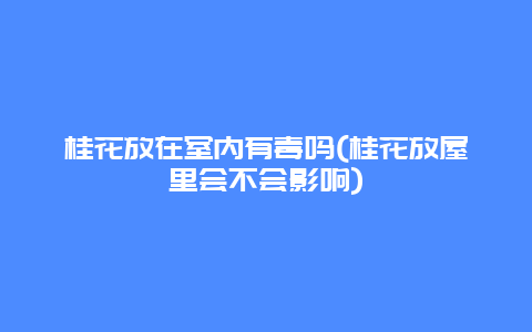 桂花放在室内有毒吗(桂花放屋里会不会影响)