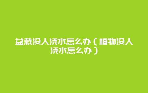 盆栽没人浇水怎么办（植物没人浇水怎么办）