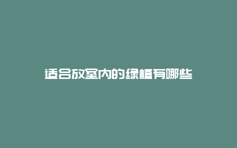 适合放室内的绿植有哪些