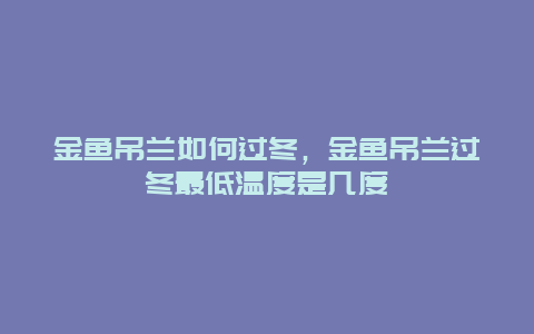 金鱼吊兰如何过冬，金鱼吊兰过冬最低温度是几度