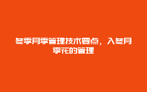 冬季月季管理技术要点，入冬月季花的管理