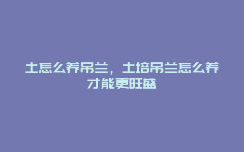 土怎么养吊兰，土培吊兰怎么养才能更旺盛