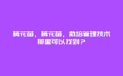 梅花苗，梅花苗，栽培管理技术那里可以找到？