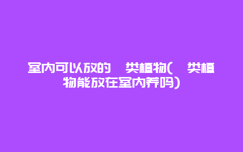 室内可以放的蕨类植物(蕨类植物能放在室内养吗)