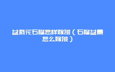 盆栽花石榴怎样嫁接（石榴盆景怎么嫁接）