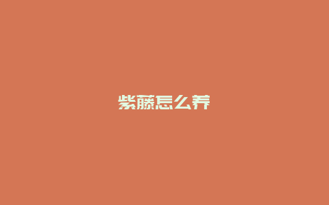 紫藤怎么养