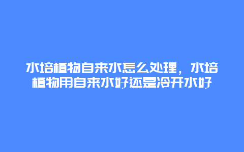 水培植物自来水怎么处理，水培植物用自来水好还是冷开水好