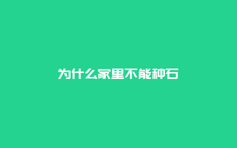 为什么家里不能种石斛