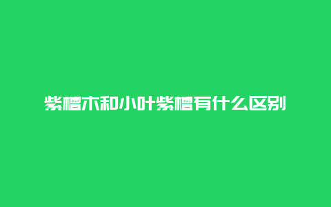 紫檀木和小叶紫檀有什么区别