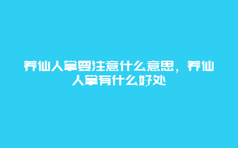 养仙人掌要注意什么意思，养仙人掌有什么好处