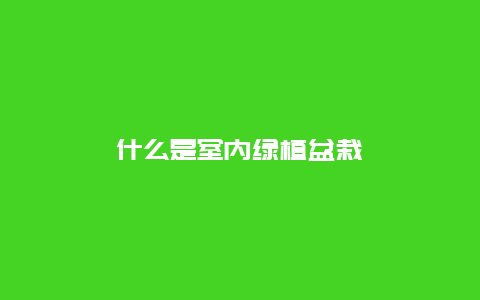 什么是室内绿植盆栽