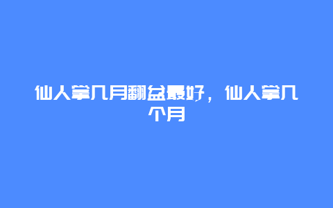 仙人掌几月翻盆最好，仙人掌几个月