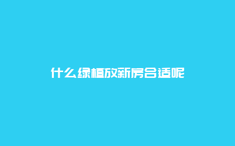 什么绿植放新房合适呢