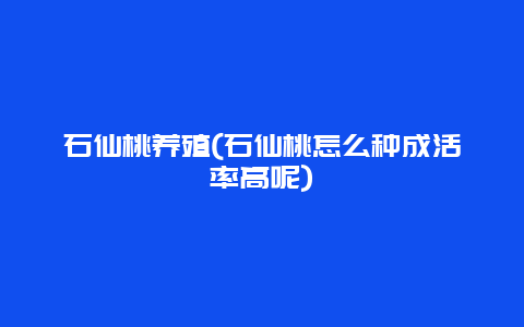 石仙桃养殖(石仙桃怎么种成活率高呢)