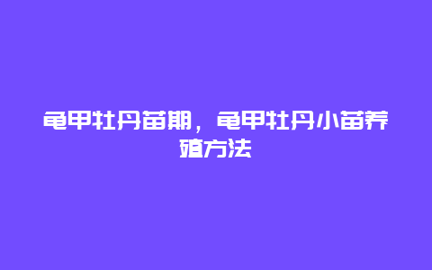 龟甲牡丹苗期，龟甲牡丹小苗养殖方法