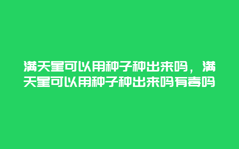 满天星可以用种子种出来吗，满天星可以用种子种出来吗有毒吗