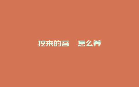 挖来的苔藓怎么养