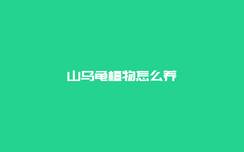 山乌龟植物怎么养