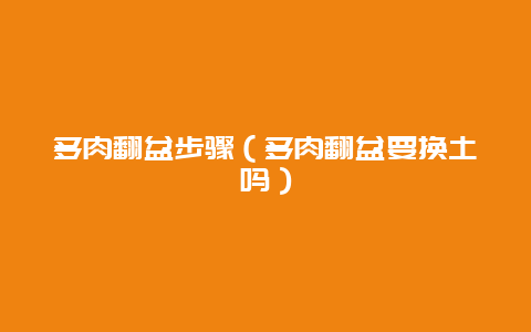 多肉翻盆步骤（多肉翻盆要换土吗）