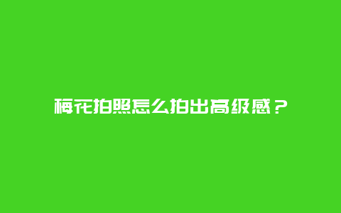 梅花拍照怎么拍出高级感？