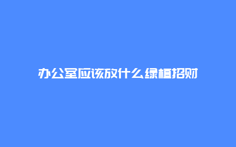 办公室应该放什么绿植招财