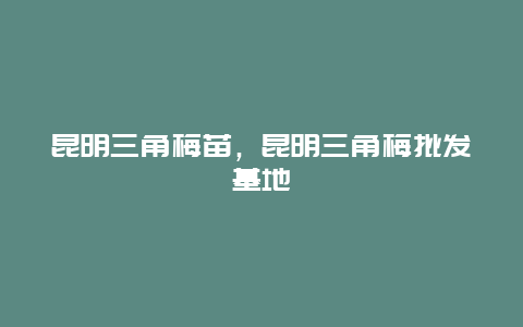 昆明三角梅苗，昆明三角梅批发基地