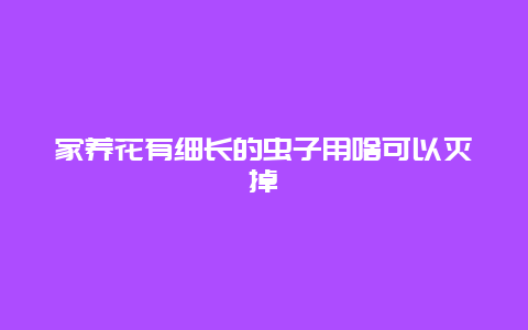 家养花有细长的虫子用啥可以灭掉