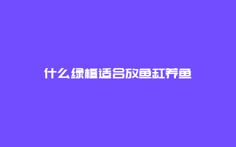 什么绿植适合放鱼缸养鱼