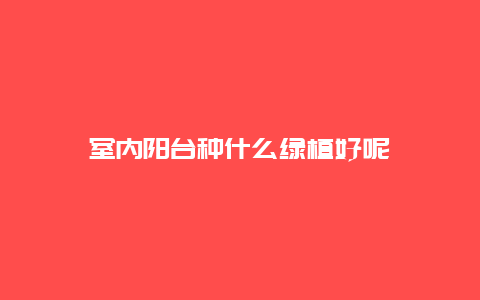 室内阳台种什么绿植好呢