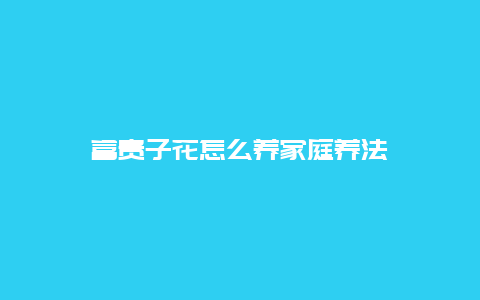 富贵子花怎么养家庭养法