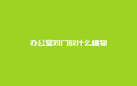 办公室对门放什么植物